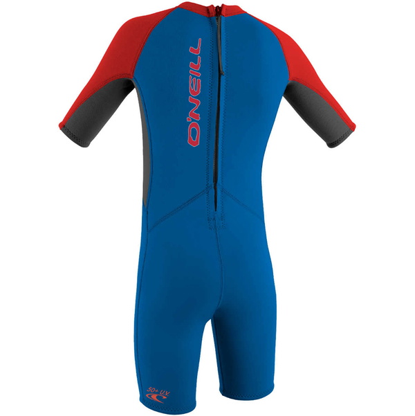 2026 O'Neill Da Bimbo Reactor 2mm Back Zip Shorty Muta 4867 - Ocean / Graphite / Red